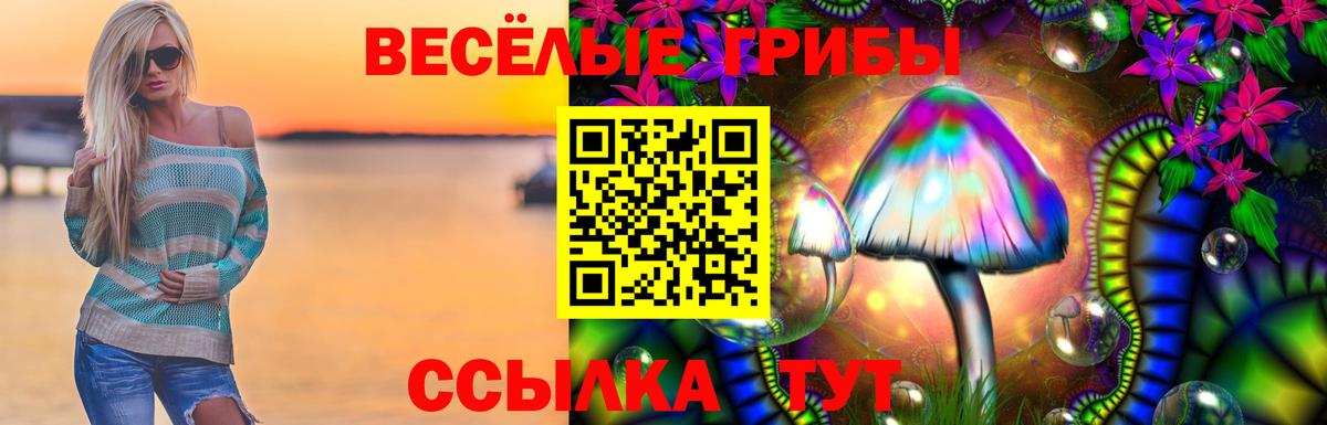 Псилоцибиновые грибы мухоморы  Галлюциногенные грибы GOLDEN TEACHER  Вход с VPN  Бахчисарай 